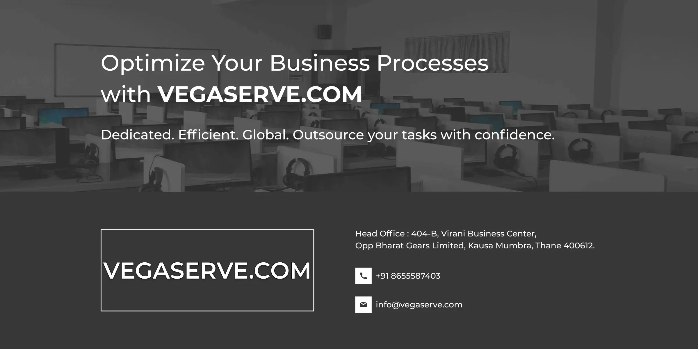 Customized Business Process Outsourcing Services - Vegaserve